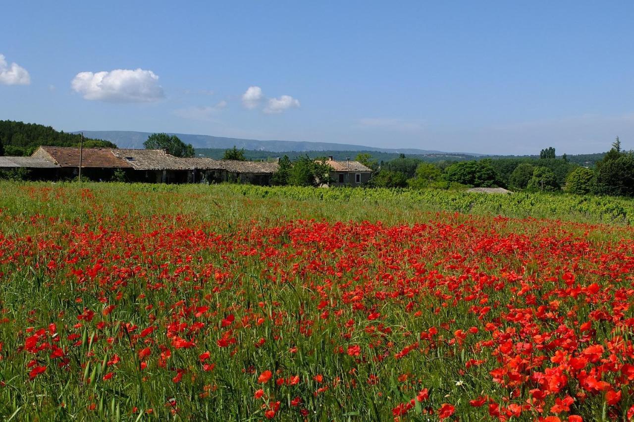 Bed and Breakfast Ll Poulidetto Lioux Zewnętrze zdjęcie